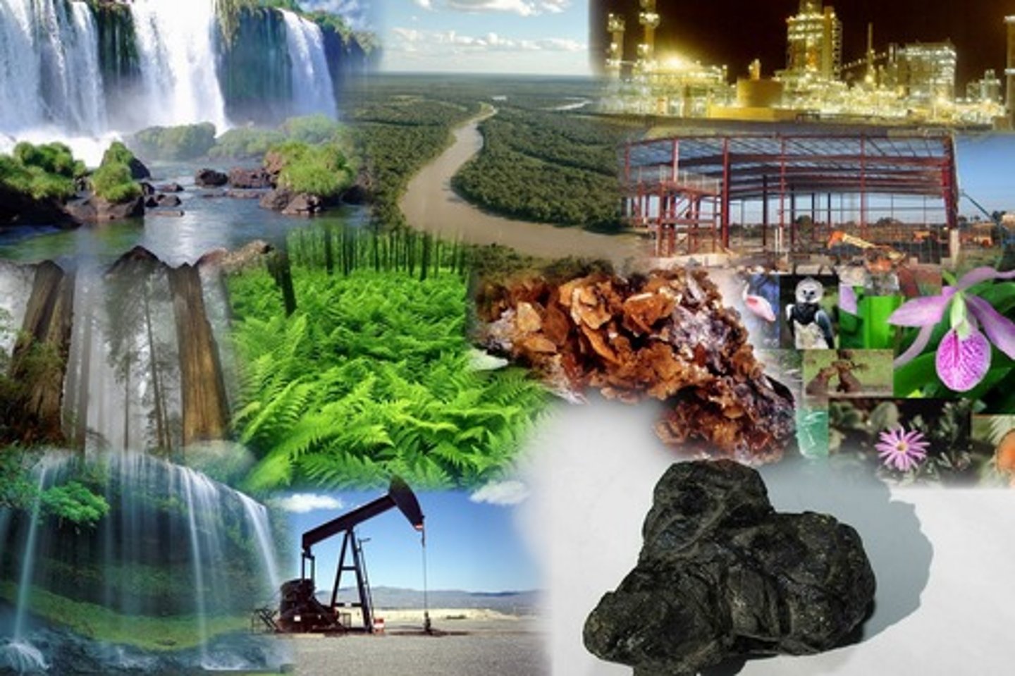 <p>natural resources</p>