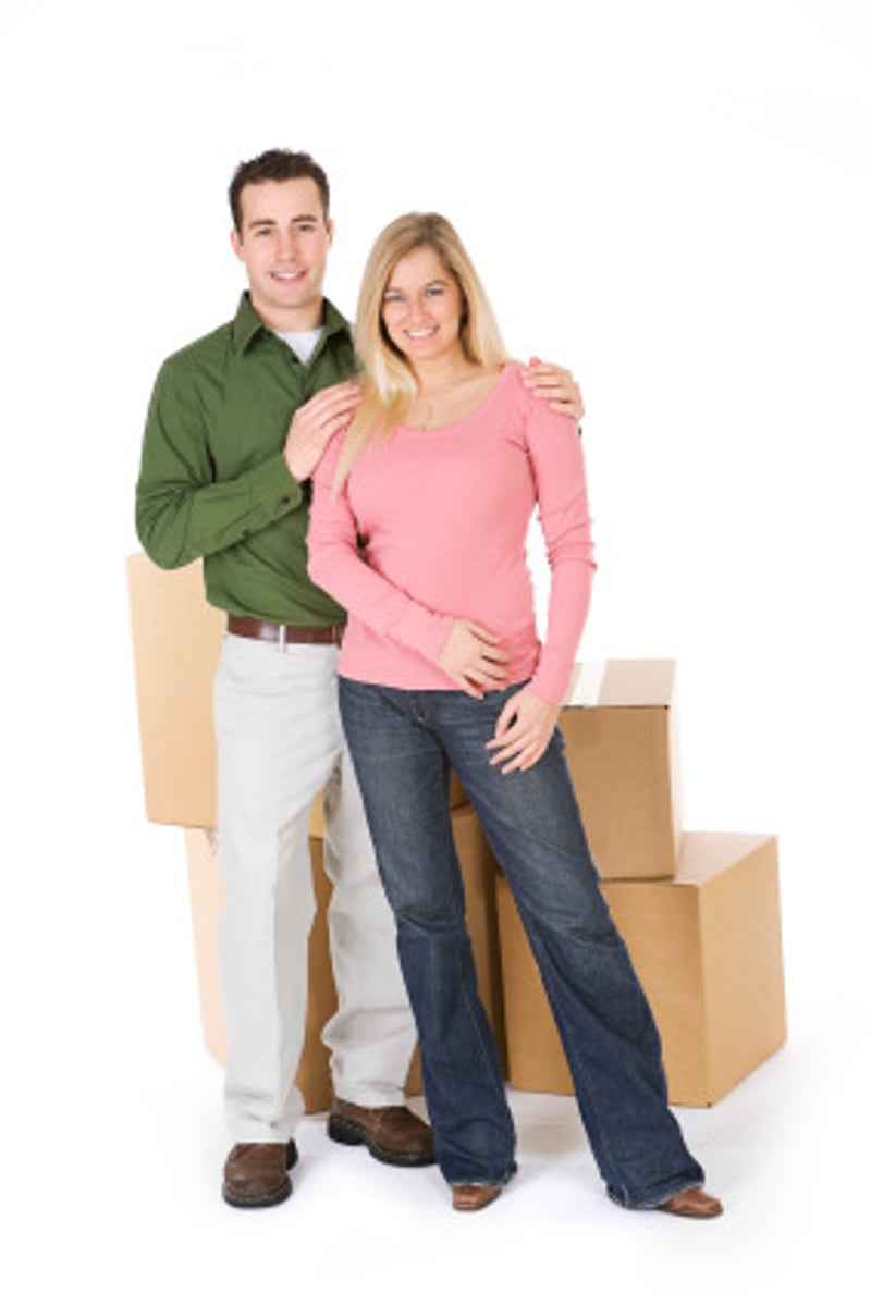 <p>to live together</p>