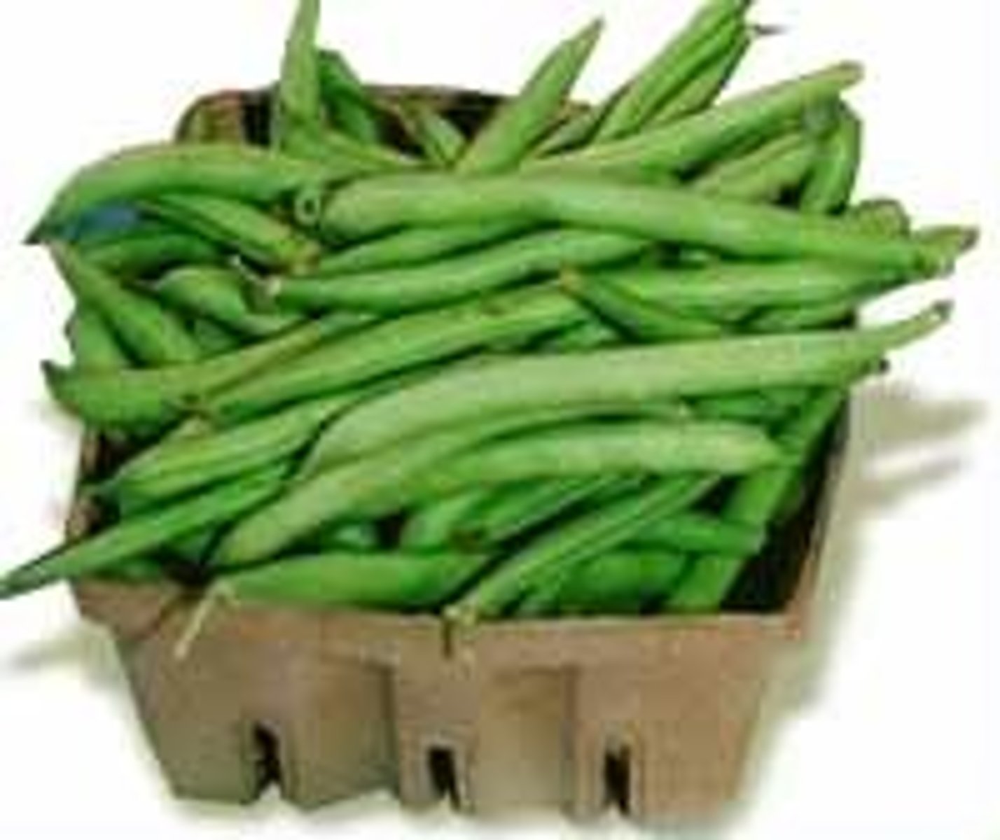 <p>green beans</p>