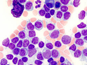 <p>What does this image show?</p>