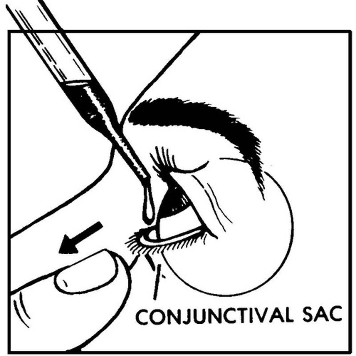 <p>주입하다</p>