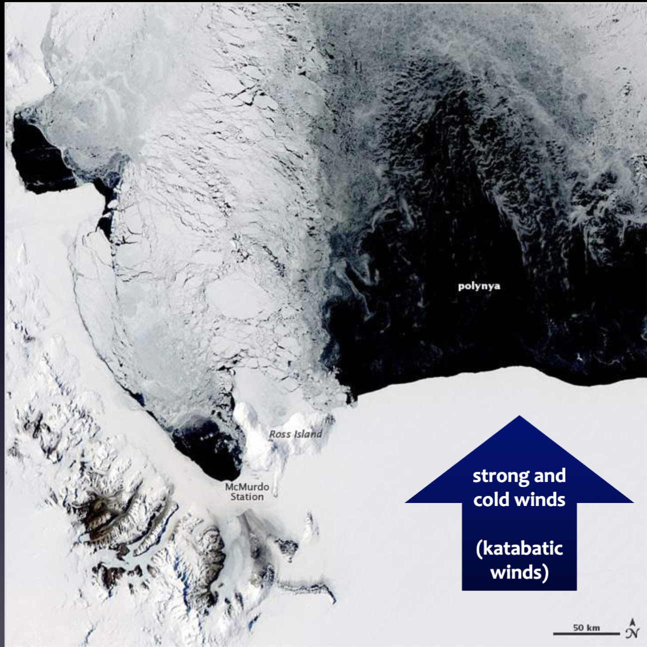 <ol><li><p>Wind blowing off Antarctica creates ice-free areas of water (polynyas)</p></li><li><p>The water is now exposed to cold wind, causing sea ice formation</p></li><li><p>Brine expulsion as it is added to sea ice</p></li><li><p>Salt concentrates in the remaining water </p></li><li><p>Water “flows downslope” and sinks (now AABW)</p></li></ol>