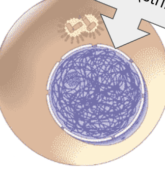 <p>What is this?</p>