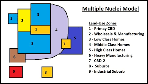 <p>Ullman multiple nuclei model</p>