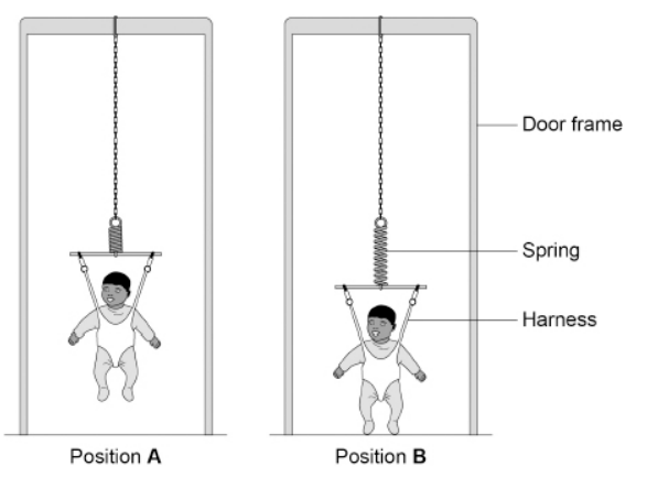 <p>A baby bouncer is a harness attached to a spring that hangs from a door frame. </p><p>The figure above shows a baby in a baby bouncer in two positions.</p><p>In positions A and B the baby is stationary. </p><p>Describe the energy transfers as the baby moves from position A to position B.</p>