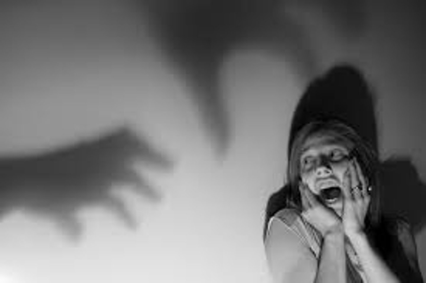<p>terreur / grande peur - fright/horror/dread</p><p>L'effroi s'est emparé de moi à l'idée de perdre le match.</p>