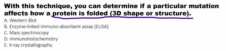 <p>E) </p>