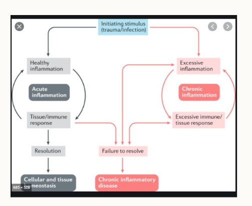 <p>Acute - there’s a resolution following the immune response and homeostasis is reached.</p><p>Chronic - there’s no resolution and the immune response and inflammation are excessive</p>