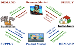 <p>the pattern in which goods, services and resources flow in the marketplace</p>