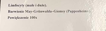 <p>B - produkcja przeciwciał, prezentowanie antygenu</p><p>Tc - zabijanie obcych, nowotworowych i zakażonych komórek</p><p>Th, Ts - regulac ja odpowiedzi immunologicznej</p><p>NK - nowotwory</p>