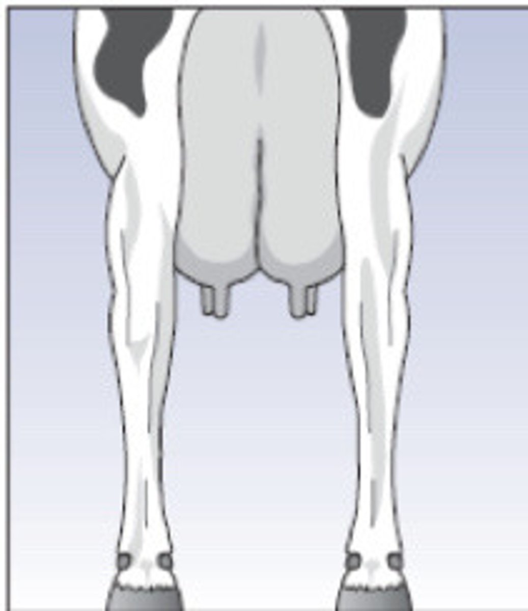 <p>Describe the conformation here</p>