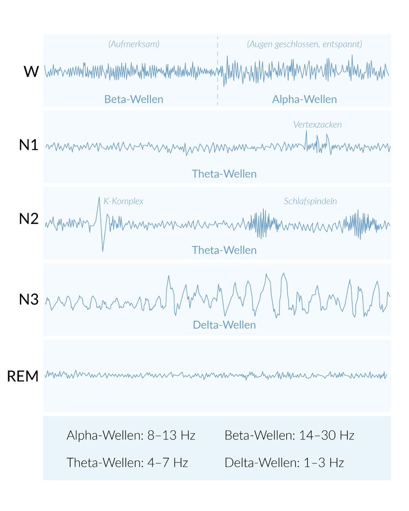 <p>C. In non-REM sleep stage 2</p>