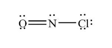 <p>What is the shape of this type of molecule?</p>