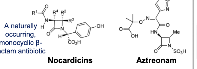 <ol><li><p>Aztreonam - not fused to another ring</p></li><li><p>Aminoglycosides - less toxic</p></li><li><p>No GP or anaerobic activity </p></li></ol><p></p>