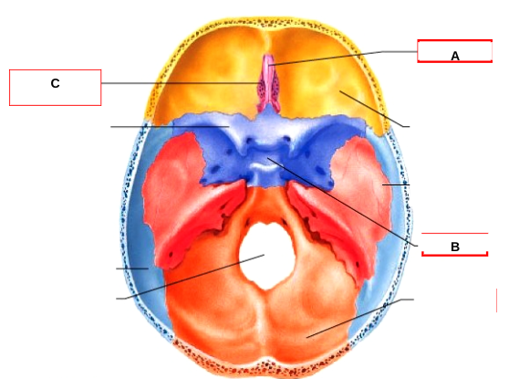 <p>What is B?</p>