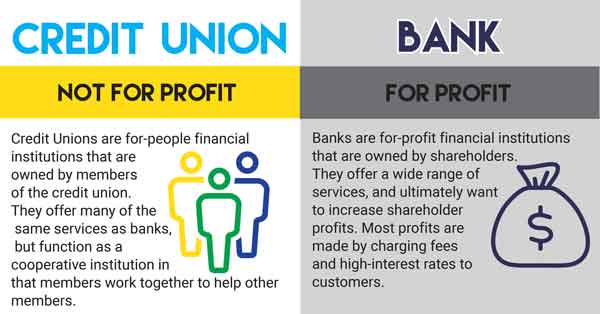 <p>non-profit institution similar to a bank but owned by its own members</p>