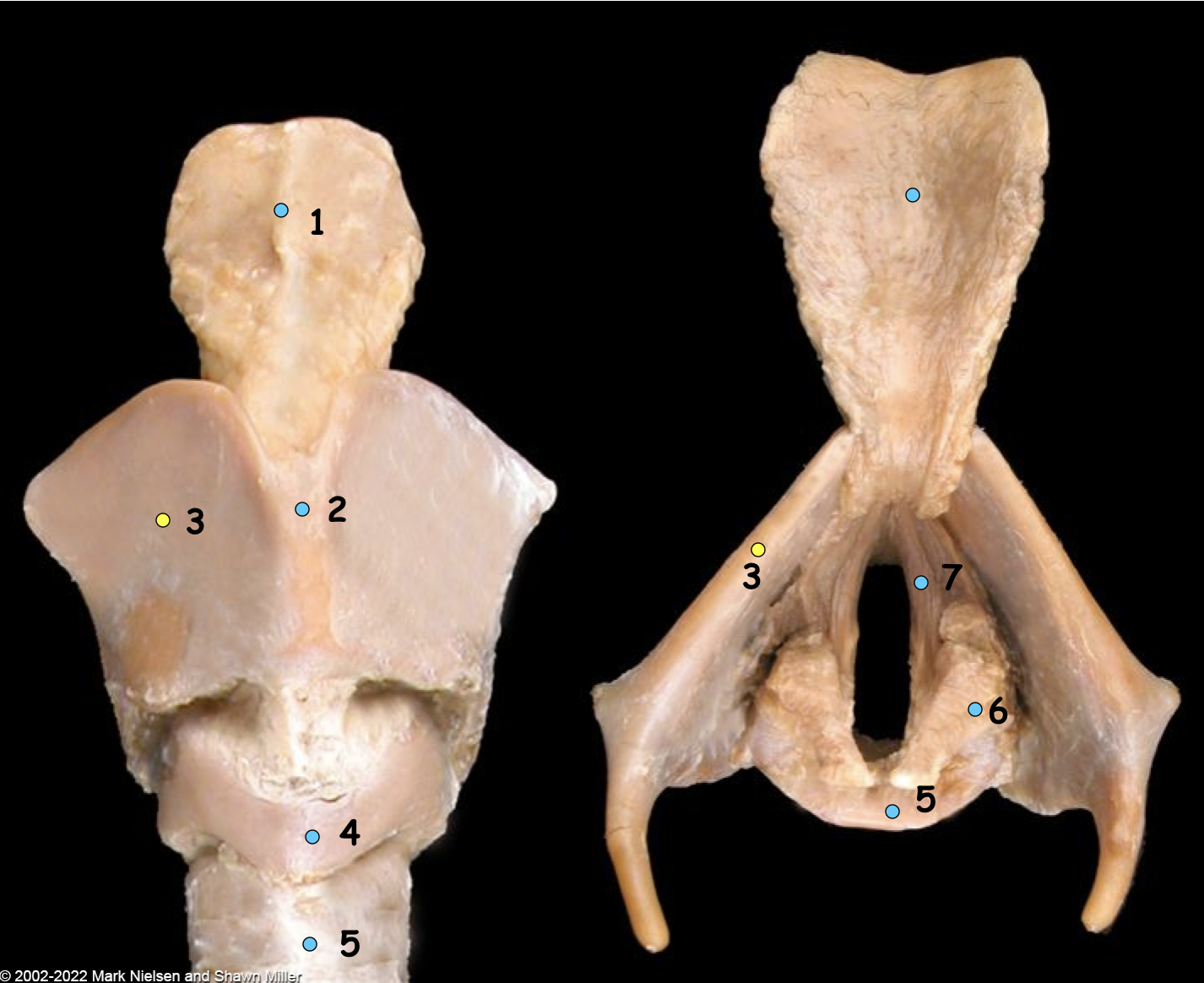 <p>What is number 7</p>