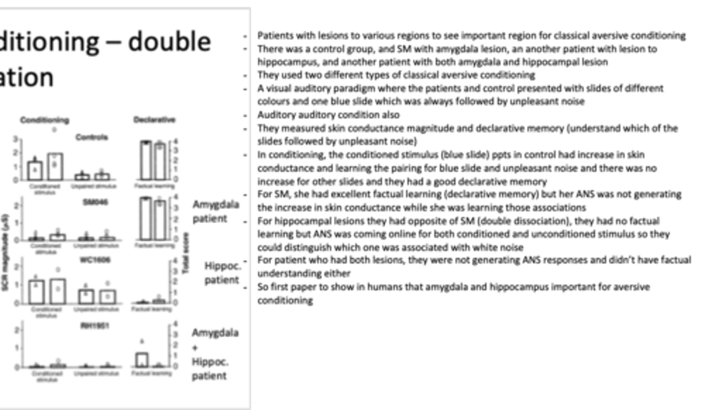 <p>bechara et al. (1995)</p><p>- patient with amygdala damage failed to fear condition to aversive stimuli but could report the facts about the conditioning experience</p><p>- patient with hippocampal damage acquired fear response but had no explicit memory of the conditioning</p><p>- fear conditioning depends on amygdala </p><p>- memory of the event depends on hippocampus</p><p>- double dissociation bcz 2 seperate functions have 2 separate neural systems </p>