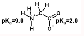 <p>Calculate the net charge on the amino acid glycine at pH 2.0. Glycine at pH=7.0<br><br>Look back at the walkthrough with a green star for help</p>