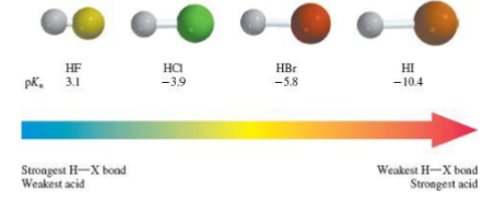 <p>In a column on the periodic table, the LARGER the conjugate base anion the STONGER the acid</p>