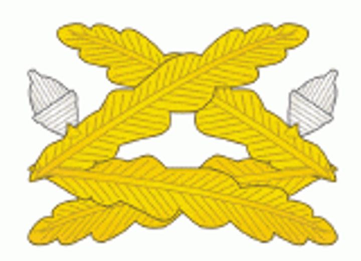 <p>Two gold embroidered sprigs of two oak leaves and a silver acorn in each sprig</p>