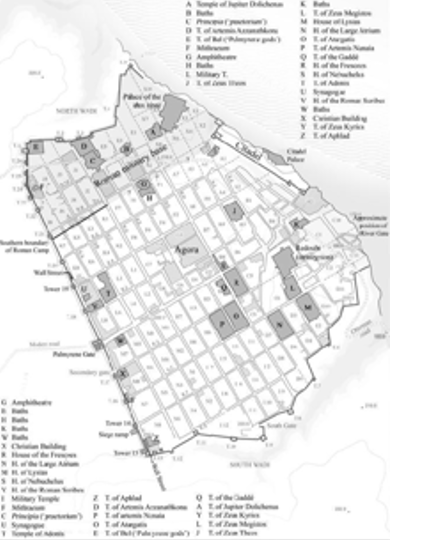 term image