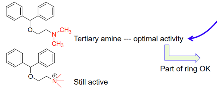 <p>tertiary amine; quaternary charged amine</p>