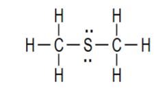 <p>what functional group is this?</p>