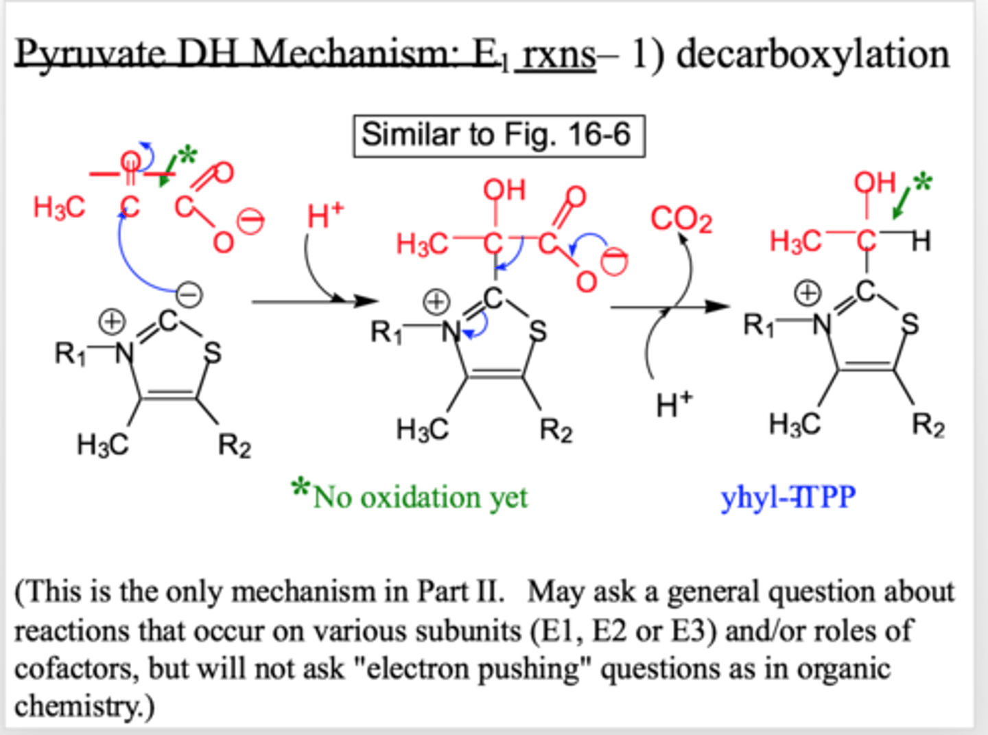 <p>decarboxylation</p>