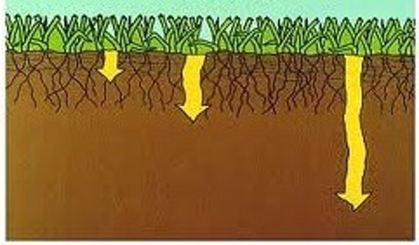 <p>the transportation of dissolved molecules through the soil via groundwater</p>