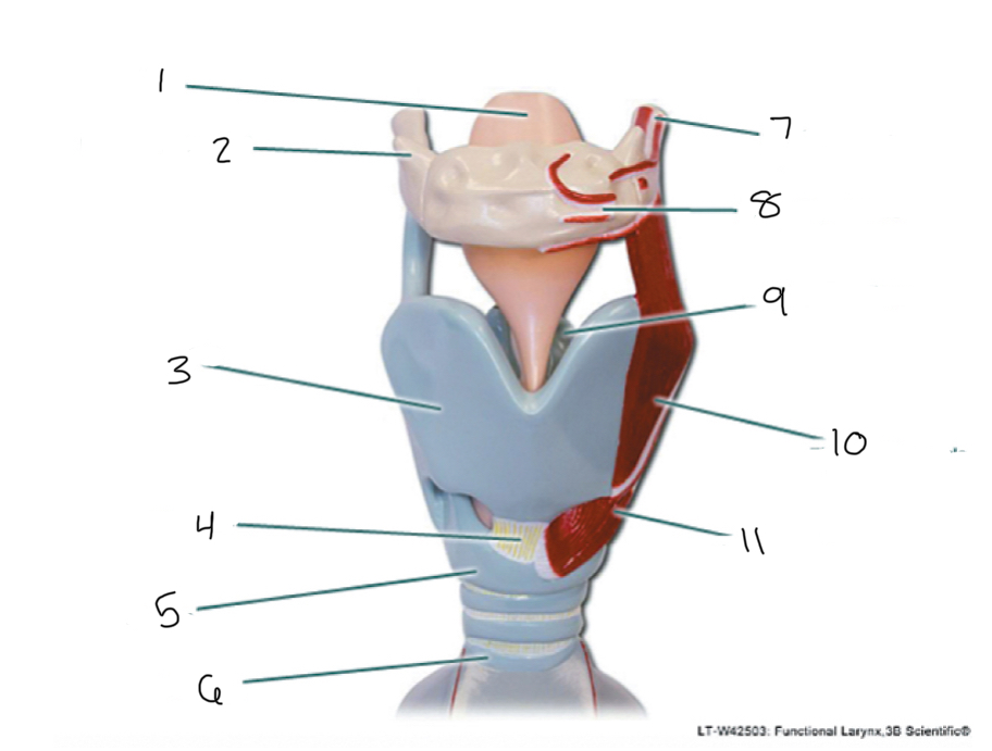 <p>1</p>