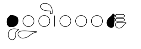 <p>C</p>