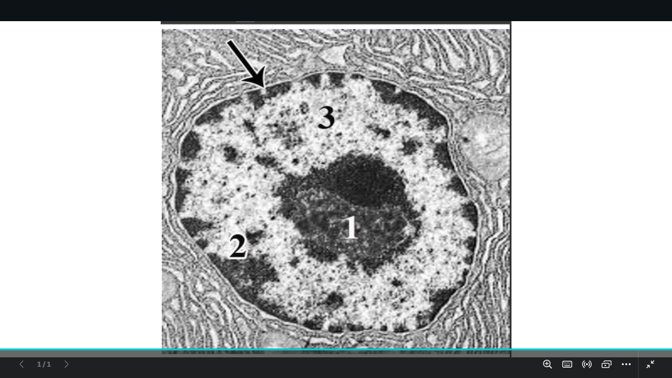<p>identify what is this and </p><p>1 2 3 and the arrow</p>