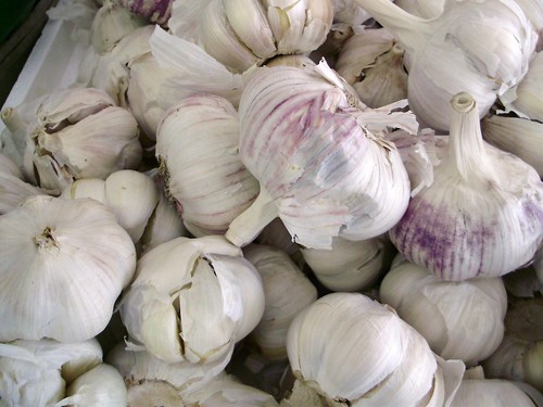 a thin outer layer with textured "stripes" that connect to one point at the top. When peeled apart, garlic has small sections from within called a clove. The outside is white and the inside is as well.