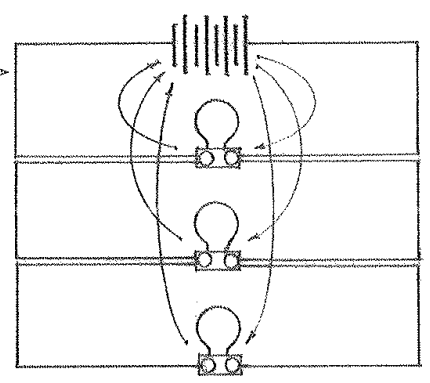 <p><span>An arrangement of components in an electric circuit in which all positive terminals are connected to one conductor and all negative terminals are connected to a second conductor, the same voltage being applied to each component</span></p>