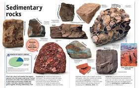 <p>Sedimentary rocks are formed on the Earth's surface, in oceans, seas, lakes and rivers.</p>