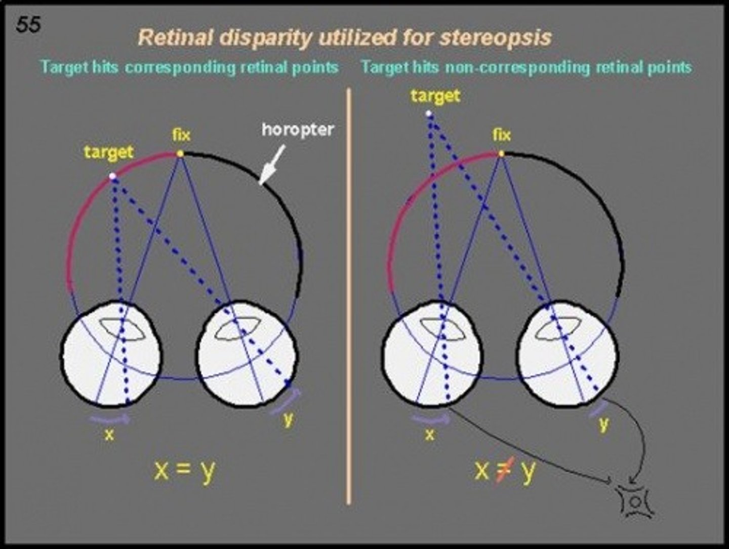 <p>visual messages/cues that require two eyes</p>