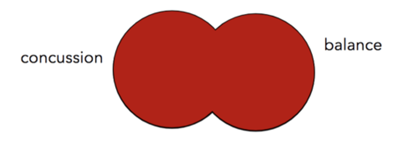 <p>concussion OR balance</p>