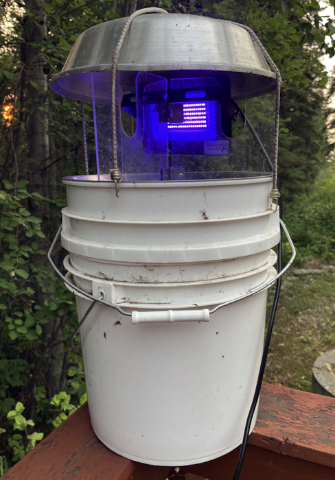 <p>insects keep their backs towards the light which gets them trapped</p>