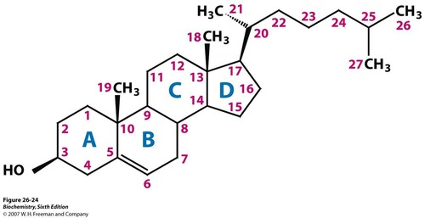 knowt flashcard image