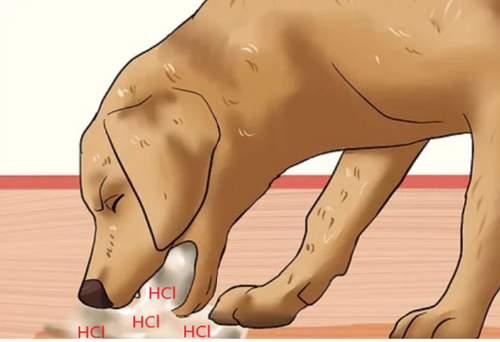 <p>-vomiting (loss of Cl)</p><p>-diarrhea (secretory diarrhea)</p>