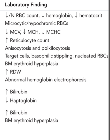 <p>Generally what is expected to be seen in thalassemia</p>