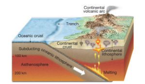 <p>When one plate is oceanic and the other is continental,</p><p>the denser oceanic plate is subducted, forming an</p><p>orogenic belt and associated mountain range.</p><p><strong>Volcanic arc </strong>is a chain of volcanoes formed above a</p><p>subducting plate.</p>