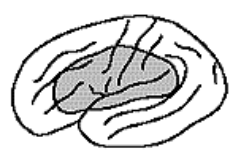 <p>damage to multiple areas &amp; can vary </p>