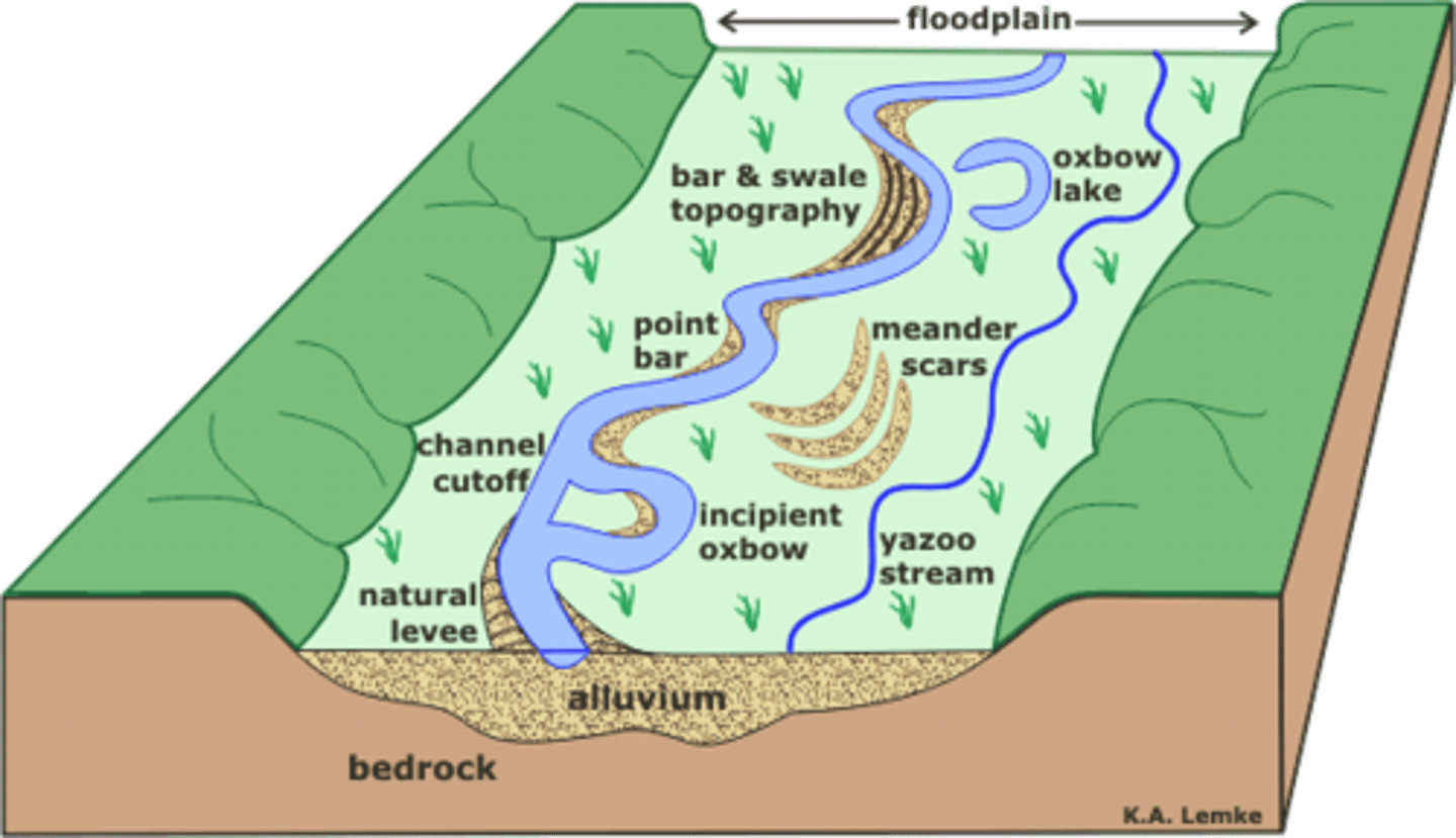 <p>Alluvial material, distinct layers, net to water and very moist</p>
