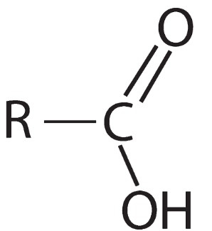 <p>A homologous series containing -COOH as its functional group.</p>