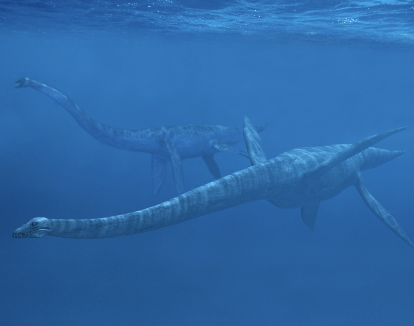 <p>Mesozoic marine reptile</p>