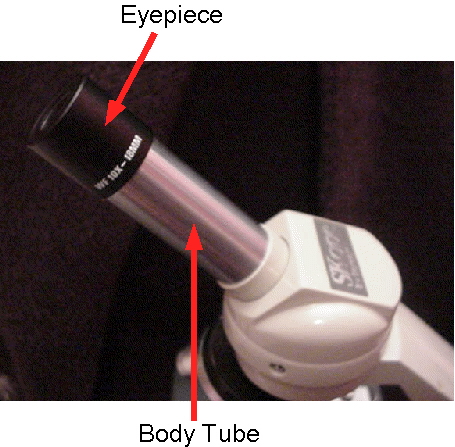 <p>Connects the eyepiece to the objective lenses, ensuring proper alignment of light and images. </p>