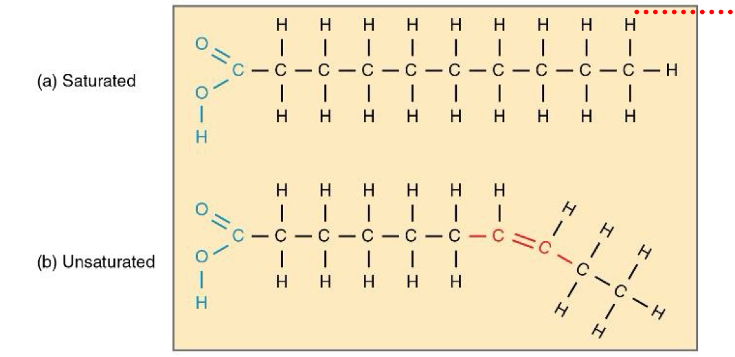 <p>A fatty acid chain that has one or more double covalent bonds between Cs is -</p>