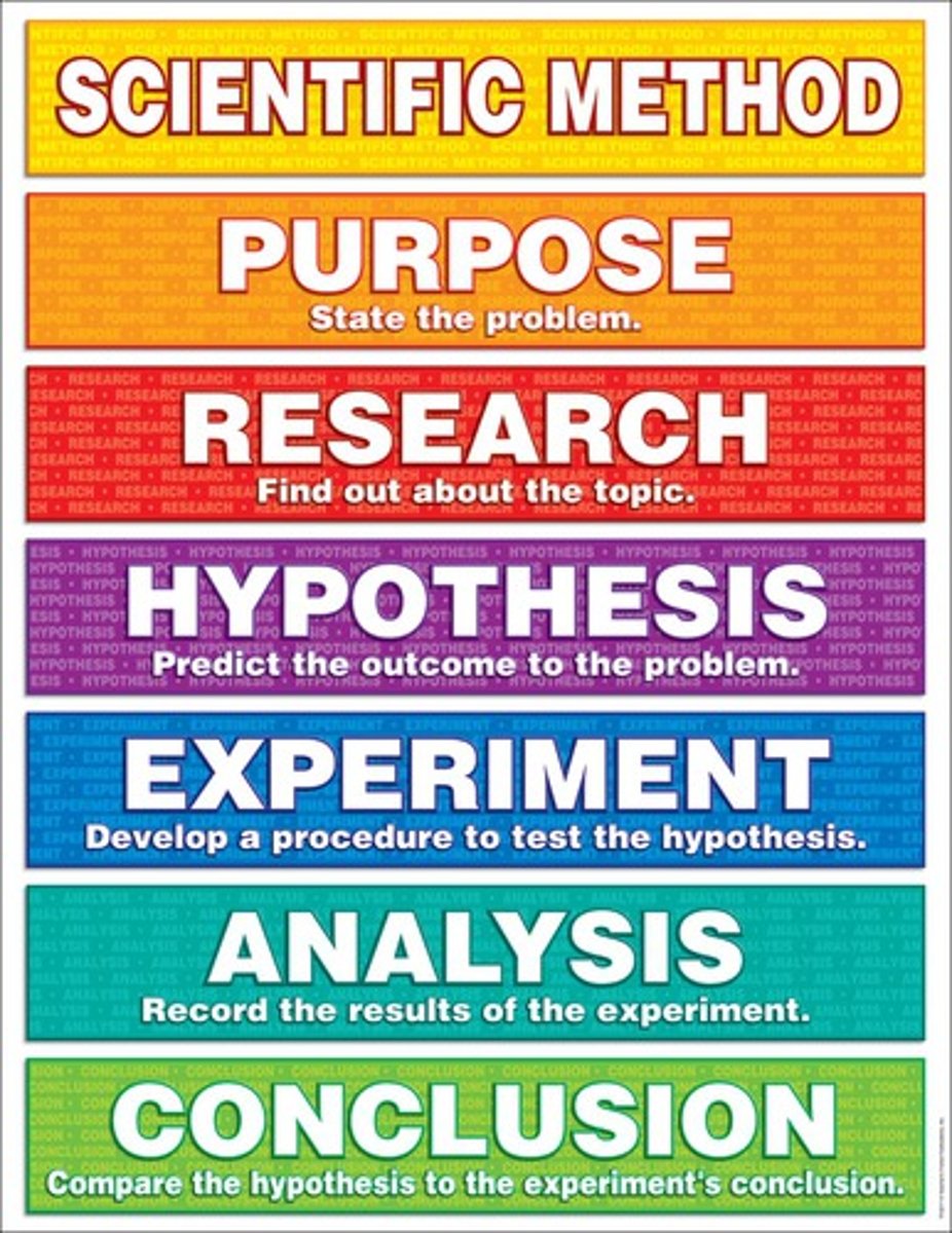 <p>Observation</p><p>Hypothesis</p><p>Experiment</p><p>Conclusion</p>